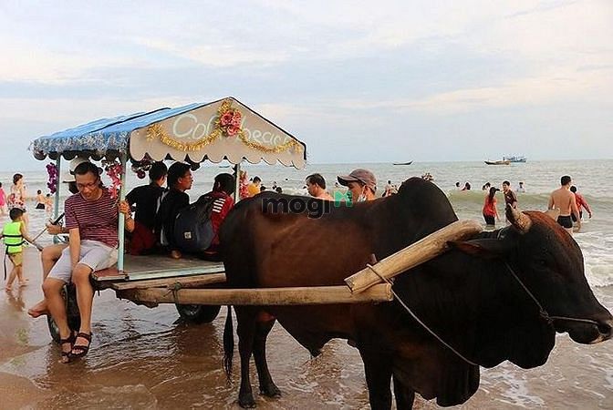 Hình ảnh Bán đất Lagi Bình Thuận,thành phố biển tương lai. Full Hồng