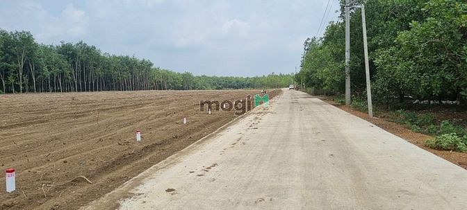 Hình ảnh Bán Gấp 2 lô đất Lộc Khánh,Lộc Ninh,Bình Phước