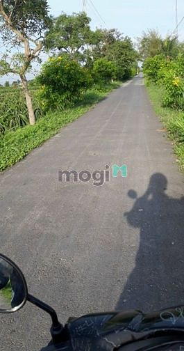 Hình ảnh Chính chủ cần ra gấp lô đất MT QL50