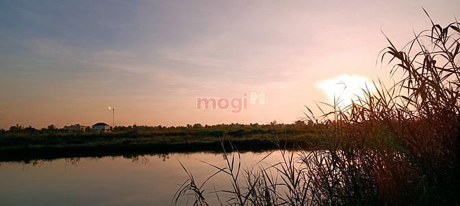 Hình ảnh Nền thổ cư giá rẻ nhất miền Nam