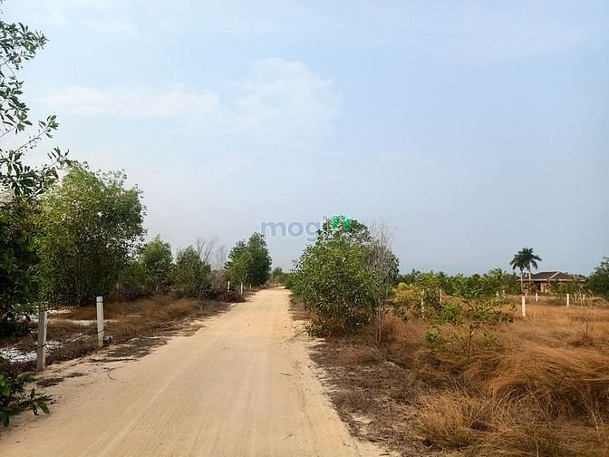 Hình ảnh Bán Đất 2 MT full Hồng Khu Phố 5 TT Tân Nghĩa Hàm Tân Bình Thuận