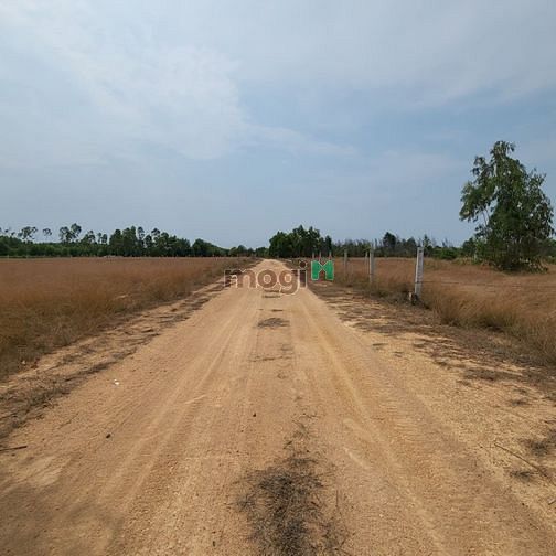 Hình ảnh Bán Đất 2 MT full Hồng Khu Phố 5 TT Tân Nghĩa Hàm Tân Bình Thuận