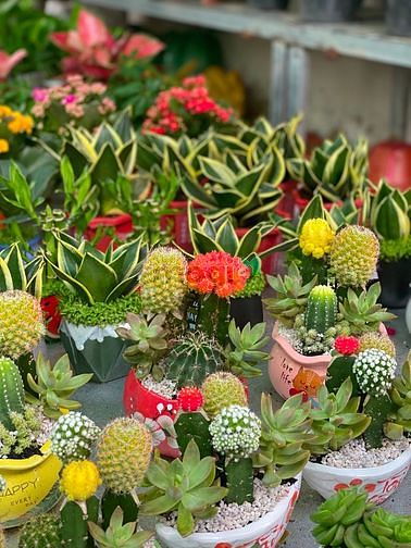 Hình ảnh Nhà rẻ con du học ⓪⑨⓪①②③⑦⑧③④ gọi ngay