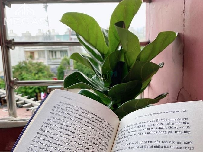 Hình ảnh Mb6623 nạp rút nhanh chóng dịch vụ ngay mặt tiền Phan Văn Trị Full nội thất giá chỉ 4tr