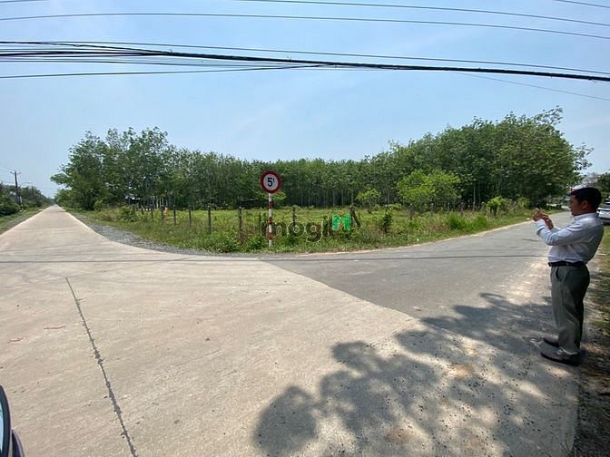 Hình ảnh Đất vườn củ chi 1040m2 view 2 mặt tiền 2ty250tr