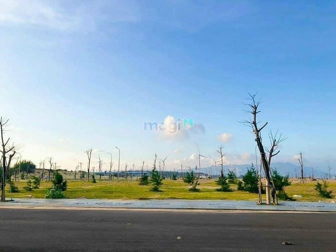Hình ảnh Đừng mua Đất ven Biển Quy Nhơn nếu chưa đọc qua bài viết này