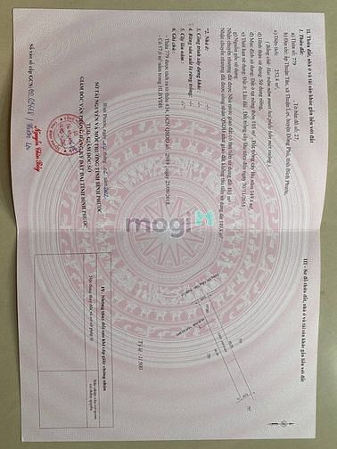 Hình ảnh HOT!! Đất nền Thuận Lợi sát KCN Phú Riềng Đỏ với chỉ 550TR. Sổ sẵn