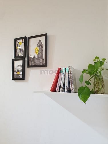 Hình ảnh Khai Trương Phòng Bùi Viện_Bao Các Phí_Full Nội Thất_Cống Quỳnh_Quận 1