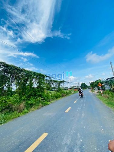 Hình ảnh Bán đất full thổ mặt tiền đức hòa