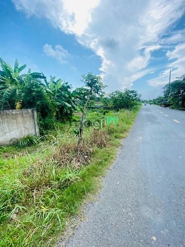 Hình ảnh Bán đất full thổ mặt tiền đức hòa