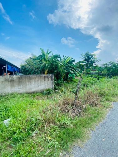 Hình ảnh Bán đất full thổ mặt tiền đức hòa