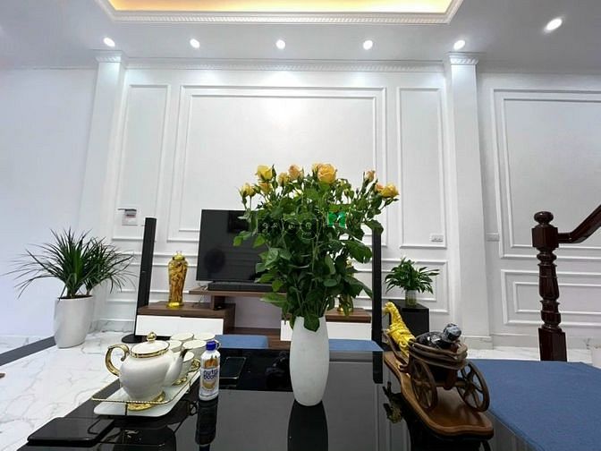 Hình ảnh Nhà phân lô, gara ô tô, mt:5m 7 tầng thang máy, nội thất sịn 096177139
