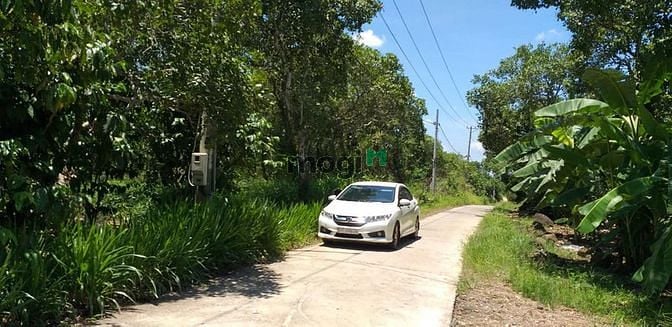 Hình ảnh Bán 3 sào đất ấp 1 phú lộc đường bê tông