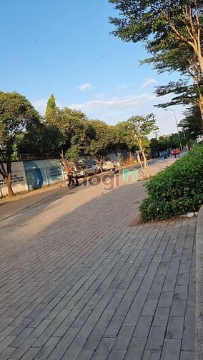 Hình ảnh Đất HXH Lò Lu, Q9, 320m2, KD các mặt hàng, cách MT 30m, nhỉnh 40tr/m2.