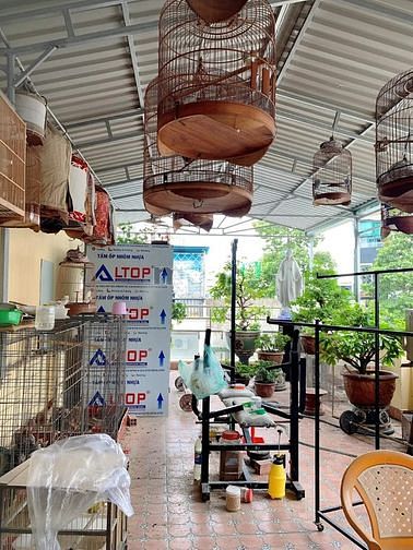Hình ảnh Xe hơi vô nhà - Hoàng Sa - P5 - Tân Bình
