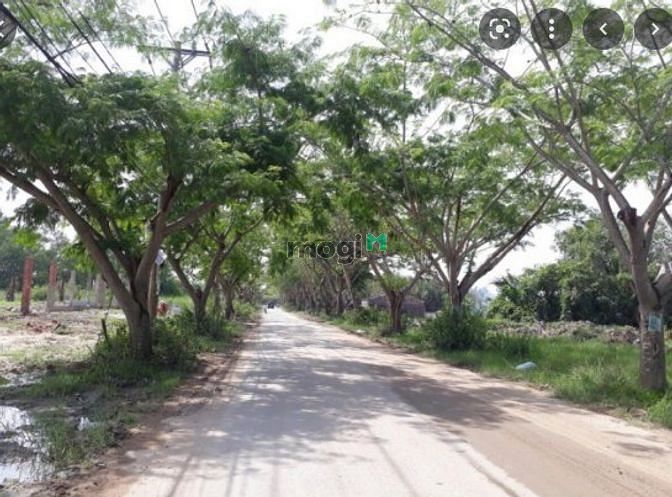 Hình ảnh Chính Chủ Bán Gấp 1000 m2 đất lúa