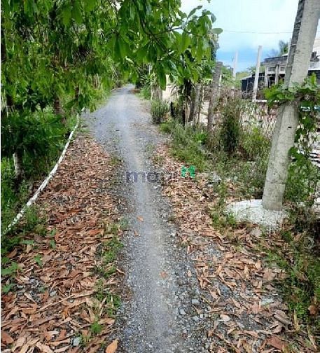 Hình ảnh Bán Gấp Hạ Giá Đất 5x32m Tân Phú Đức Hòa Long An Giá 700 Triệu SHR