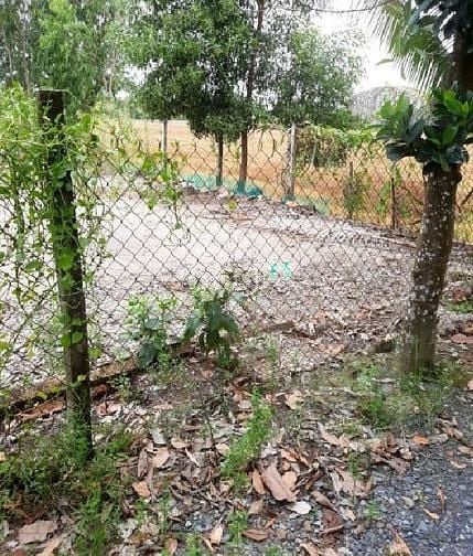 Hình ảnh Bán Gấp Hạ Giá Đất 5x32m Tân Phú Đức Hòa Long An Giá 700 Triệu SHR