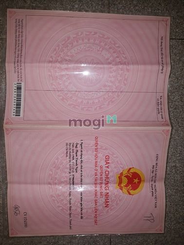 Hình ảnh Bán Gấp Hạ Giá Đất 5x32m Tân Phú Đức Hòa Long An Giá 700 Triệu SHR