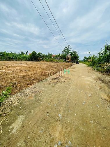 Hình ảnh lô biệt thự ngang 10 view đồng lúa cực đẹp