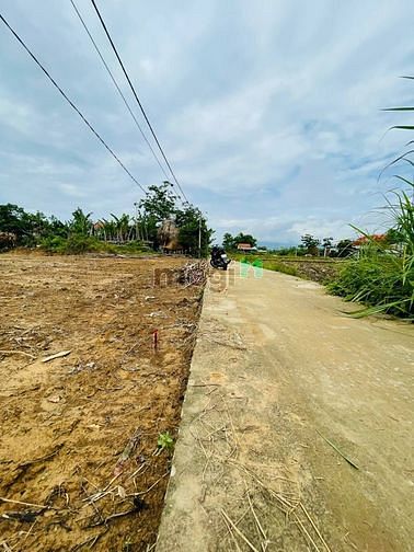 Hình ảnh lô biệt thự ngang 10 view đồng lúa cực đẹp