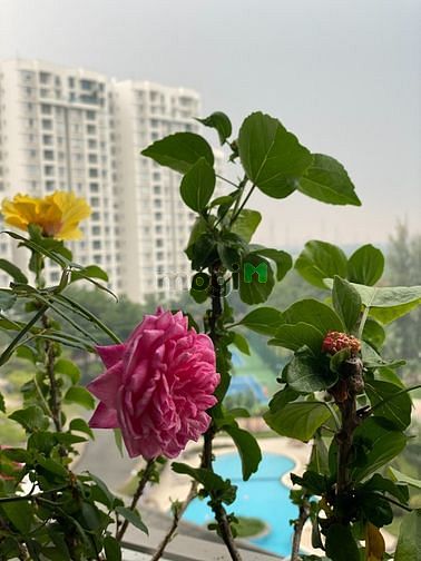 Hình ảnh Bán Trang Chủ MB66.COM / Đăng Ký Tặng 66K Riverside Residence cực đẹp -140m2- 8,3ty