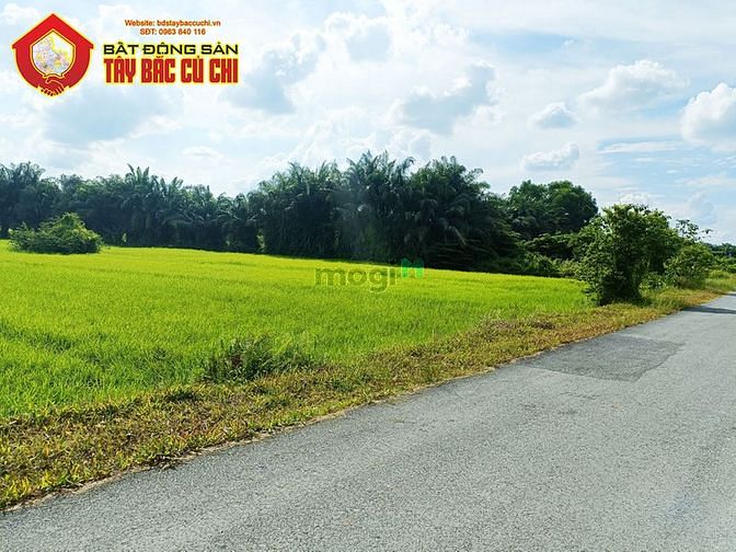 Hình ảnh Bán đất đường 426 - 1239m2 - 16x82 - xã phước vĩnh an - củ chi