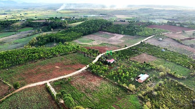 Hình ảnh 2.5ha đất CLN bìa đỏ sẳn. đất bazan