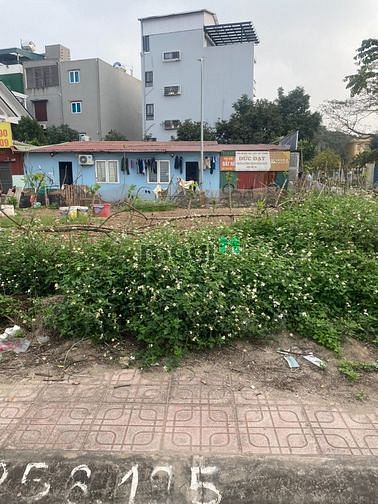 Hình ảnh Bán đất đấu giá G7 Cự Khối, căn 2 mặt thoáng đường trước sau