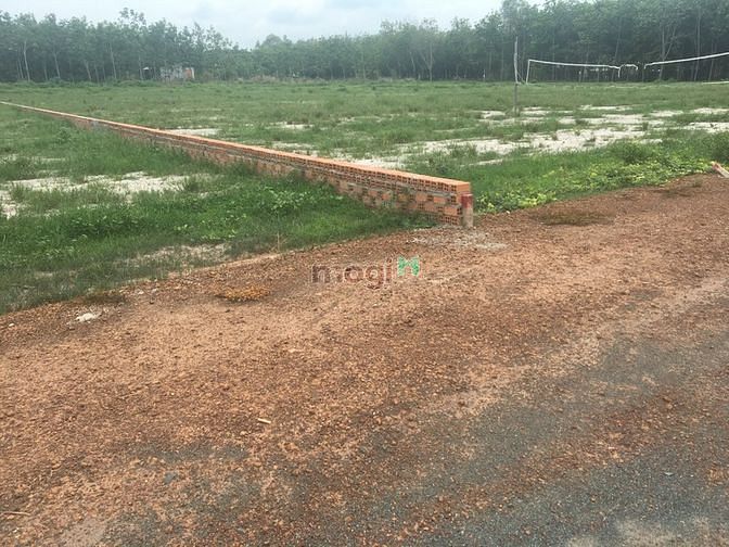 Hình ảnh Cần thanh lý gấp lô đất 1000m2/480tr ngay chợ
