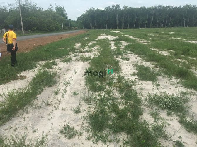 Hình ảnh Cần thanh lý gấp lô đất 1000m2/480tr ngay chợ