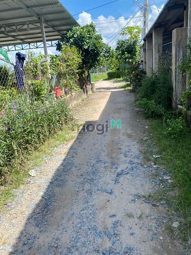 Hình ảnh Bán đất phân lô tách thửa F0 Full Thổ . Gò Dầu Tây Ninh