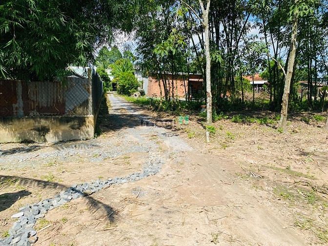Hình ảnh Bán đất phân lô tách thửa F0 Full Thổ . Gò Dầu Tây Ninh