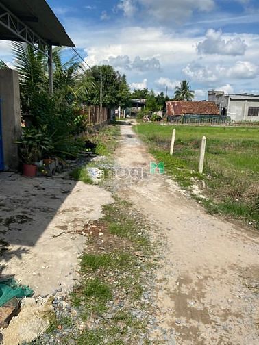 Hình ảnh Bán đất phân lô tách thửa F0 Full Thổ . Gò Dầu Tây Ninh
