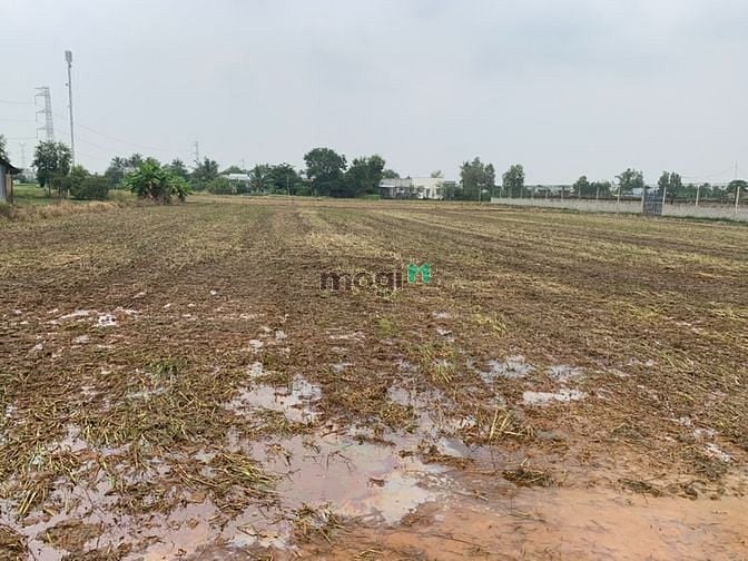 Hình ảnh Bán gấp 1687m2 thổ cư đường công cộng 1,2m. Xã Tân Trạch Cần Đước SHR.