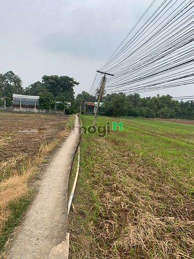 Hình ảnh Bán gấp 1687m2 thổ cư đường công cộng 1,2m. Xã Tân Trạch Cần Đước SHR.