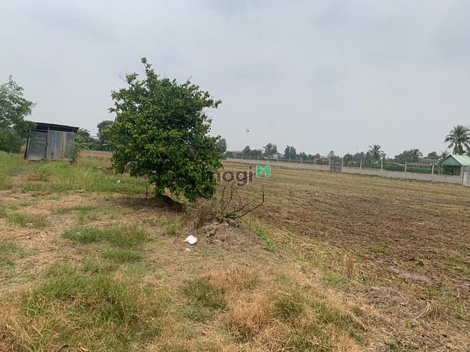 Hình ảnh Bán gấp 1687m2 thổ cư đường công cộng 1,2m. Xã Tân Trạch Cần Đước SHR.