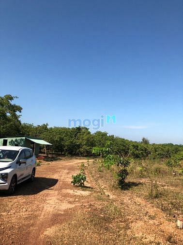 Hình ảnh Đất Lộc Ninh - Bình Phước Giá Rẻ