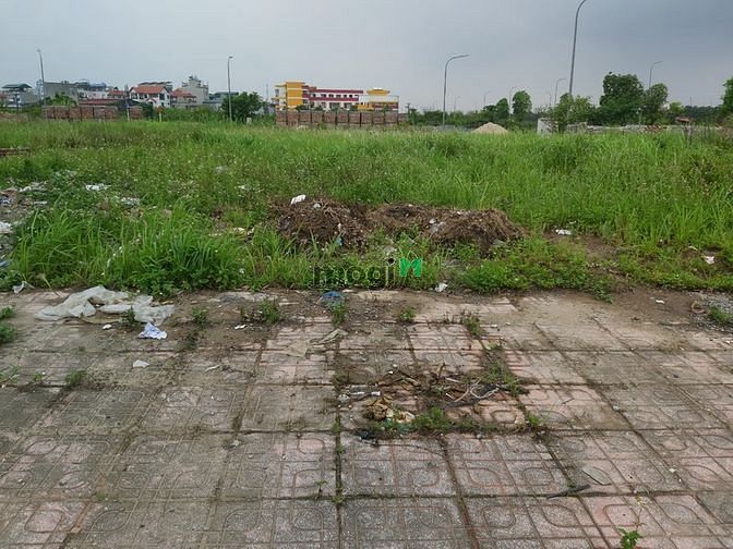 Hình ảnh Cần Thanh Khoản Gấp 73m2 Đất Đấu Giá Cự Khối TT2 Giá 7,45 Tỷ
