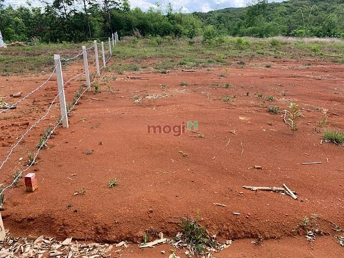 Hình ảnh Bán gấp lô góc 1000m2, 2 mặt tiền view Riverside