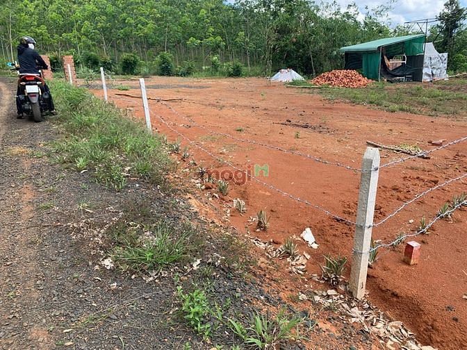 Hình ảnh Bán gấp lô góc 1000m2, 2 mặt tiền view Riverside
