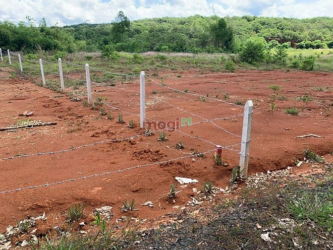 Hình ảnh Bán gấp lô góc 1000m2, 2 mặt tiền view Riverside
