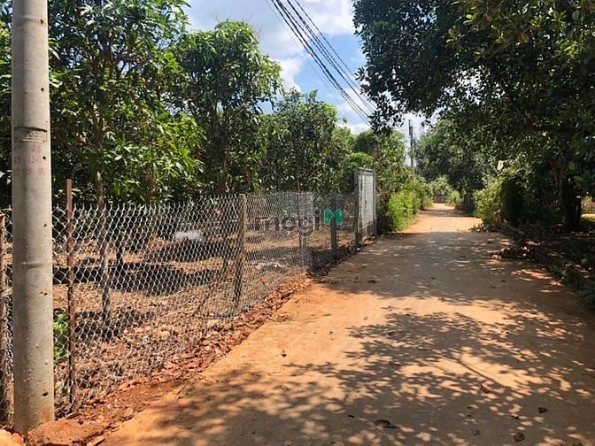 Hình ảnh Đất Vườn 1100m2 có 100m2 thổ cư giá rẻ Định Quán, Đồng Nai.