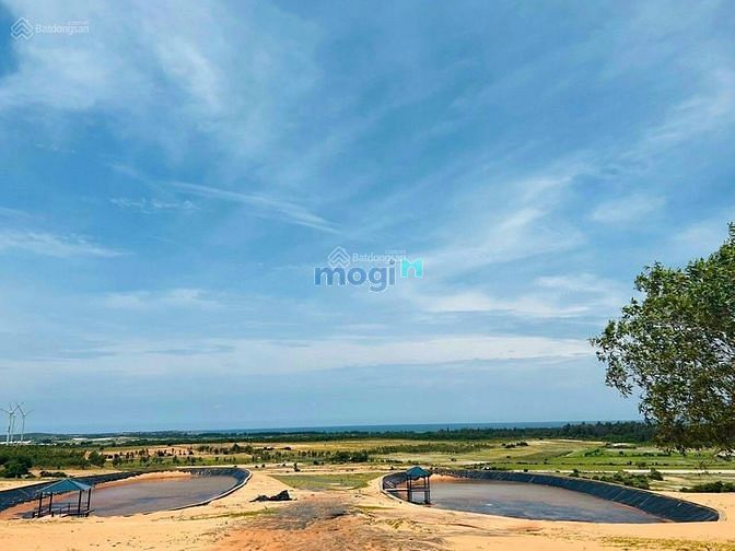 Hình ảnh Đất vườn Bình Thuận giá chỉ từ 100k/m2,view biển cực đẹp, sổ riêng