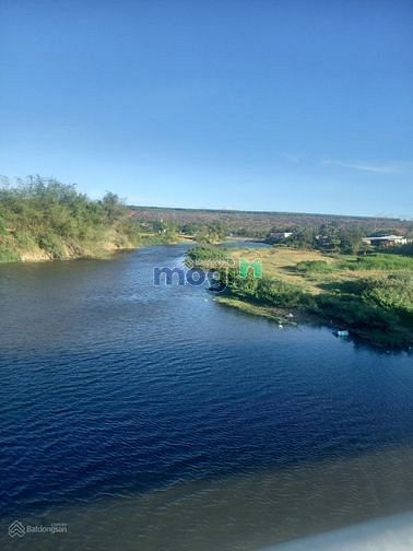 Hình ảnh Đất vườn Bình Thuận giá chỉ từ 100k/m2,view biển cực đẹp, sổ riêng