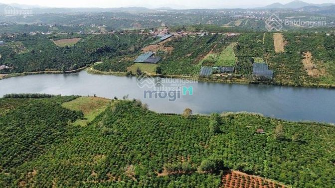 Hình ảnh Đất vườn Bình Thuận giá chỉ từ 100k/m2,view biển cực đẹp, sổ riêng