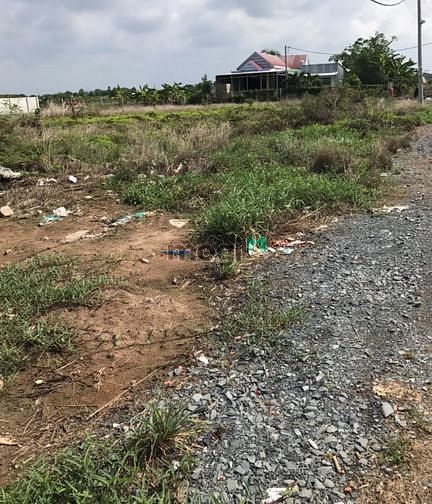Hình ảnh Bán Gấp 1000m2 Đất xã Đa Phước Bình Chánh 1ty1