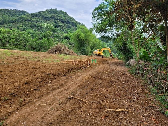 Hình ảnh Đất nền cạnh KCN,giá rẻ-Tiềm năng phát triển cao
