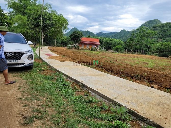 Hình ảnh Đất nền cạnh KCN,giá rẻ-Tiềm năng phát triển cao