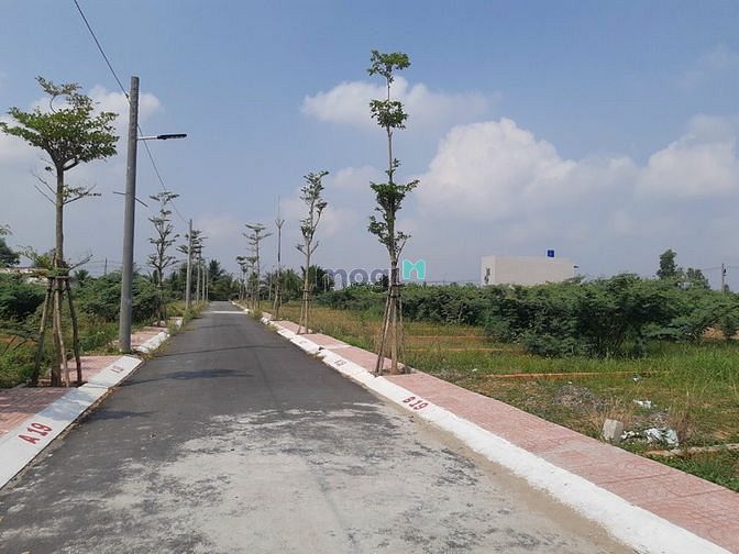 Hình ảnh Cần bán đât gấp ở ql 50 2 lô 2 mặt tiền đường nhà nước